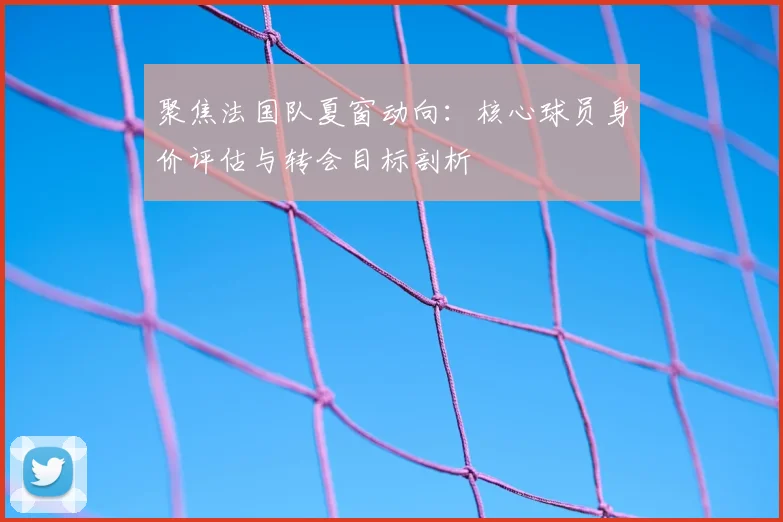聚焦法国队夏窗动向：核心球员身价评估与转会目标剖析