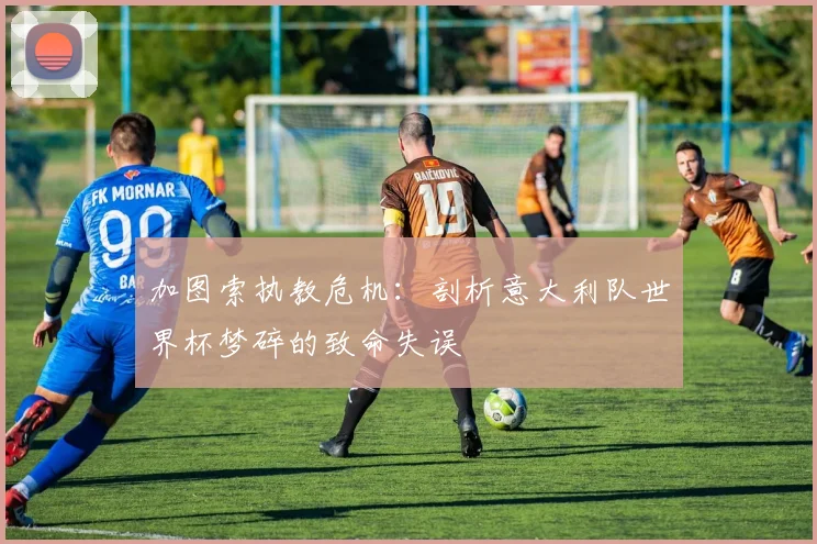 加图索执教危机：剖析意大利队世界杯梦碎的致命失误